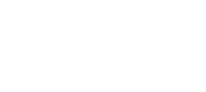 Julemarked Røros